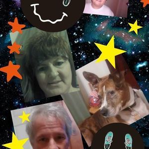 Meet your Posher, Bunny